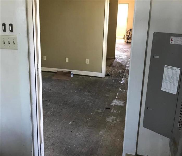 Mold and Flood waters leave behind a damp and rotting room