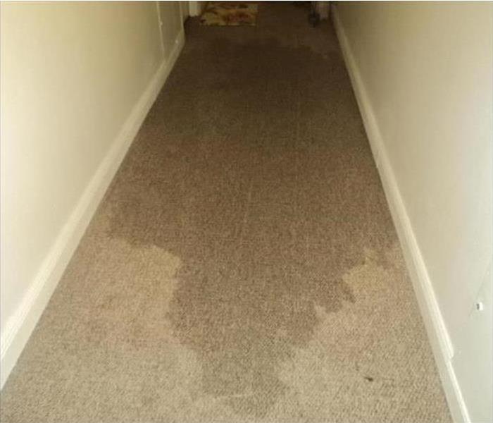 A flooded hallway carpet in a commercial building