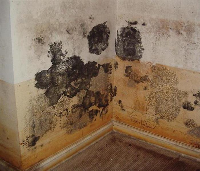 Flood water damage to the interior of a person's home.