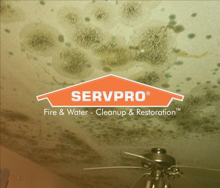 SERVPRO Logo in front of ceiling with water stains and mold damage