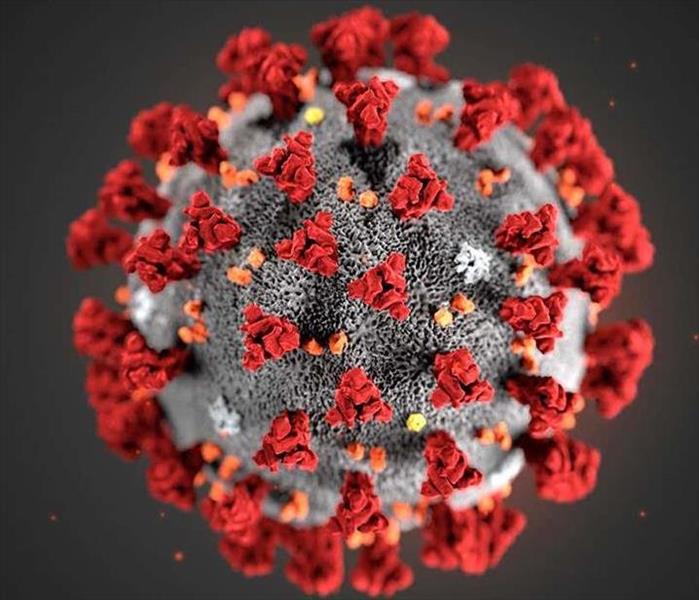 An up close image of the COVID-19 virus