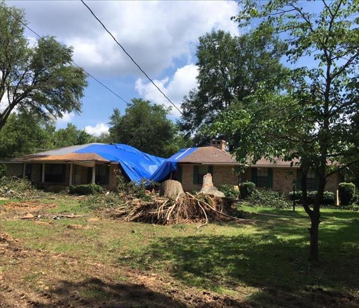 house with storm damage with fallen tree